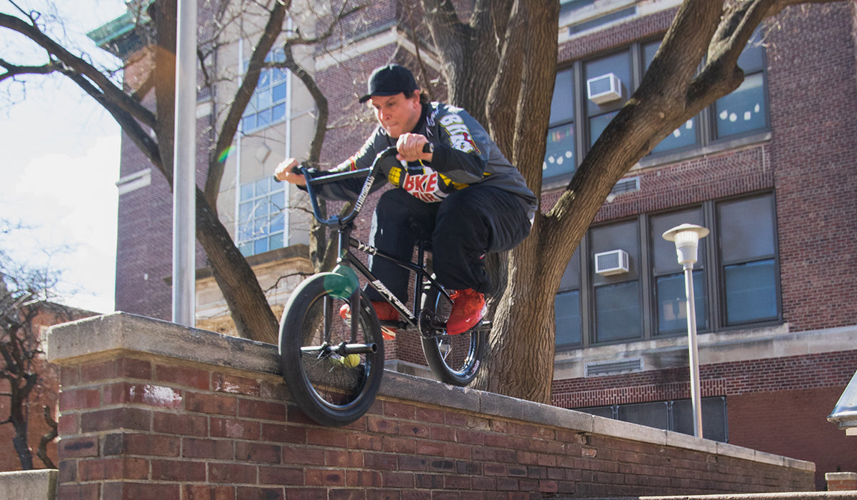 NIGEL SYLVESTER X AIR JORDAN 4