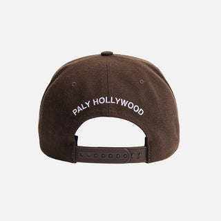 WOOL BASEBALL "P" HAT - BROWN
