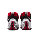 ZOOM LEBRON 4 "GRAFFITI"