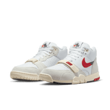 AIR TRAINER 1 "CHICAGO SPLIT"