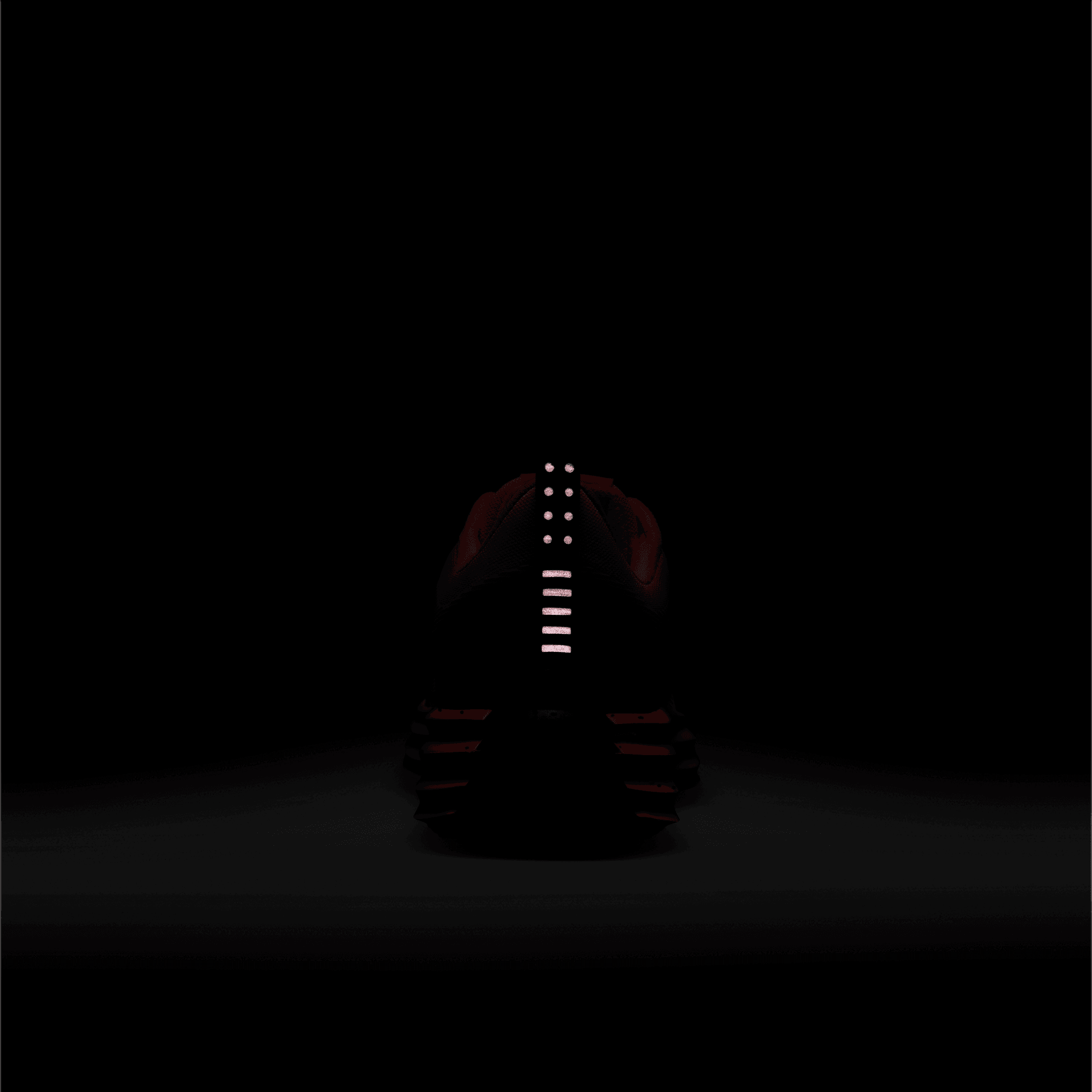 LUNAR ROAM PRM 