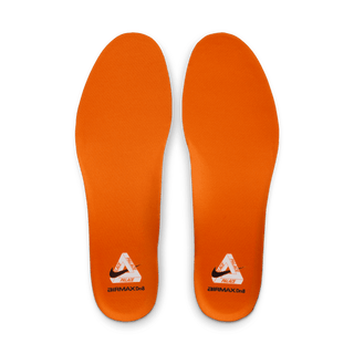 PALACE X NIKE AIR MAX DN8 SP "BLACK / SAFETY ORANGE"