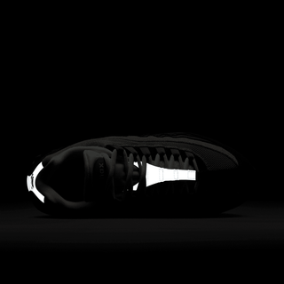 WMNS AIR MAX 95 "VELVET BROWN"