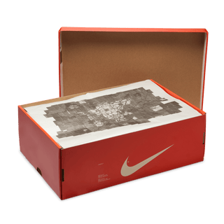 STRANGER THINGS X NIKE DUNK LOW SP "PHANTOM"