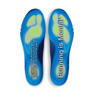 PEGASUS PREMIUM "RUNNING IS MENTAL"