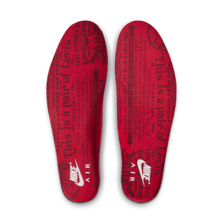 LEVI'S X AIR JORDAN 3 RETRO "BLACK DENIM"