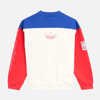 FIFA WORLD CUP 94 CREWNECK - ROYAL BLUE / CLOUD WHITE