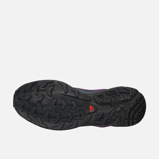 XT-6 GTX - CONCORD GRAPE / STORMY WEATHER