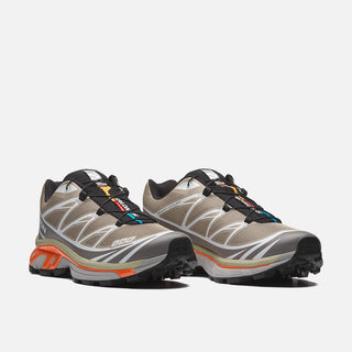 XT-6 - SILVER SAGE / CLOUDBURST / DRAGON FIRE