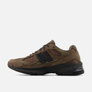 ABZORB 2010 - CORTADO / THUNDER BROWN