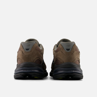 ABZORB 2010 - CORTADO / THUNDER BROWN