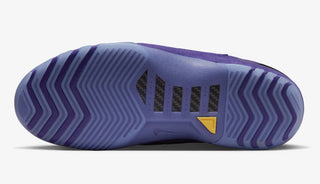 Air Zoom Generation - "Court Purple"
